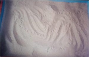 Caixa de areia. Foto: acervo pessoal, SLAH.